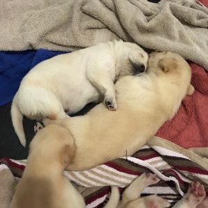 Meet your Posher, Jen